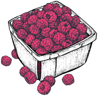 Raspberries